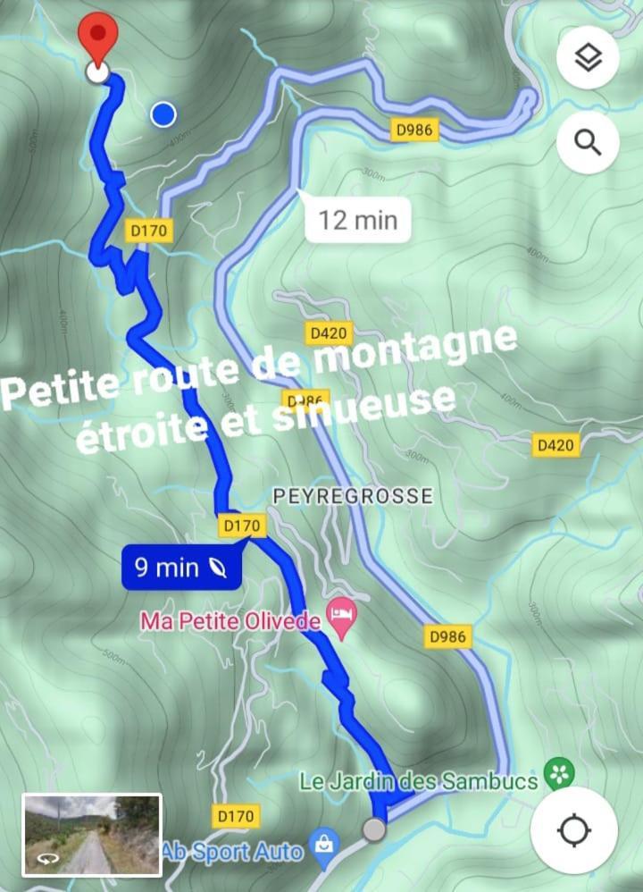 Saint-André-de-Majencoules Le Puech, Chambre D'Hotes En Cevennes מראה חיצוני תמונה